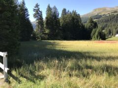 IMG_0822.jpg